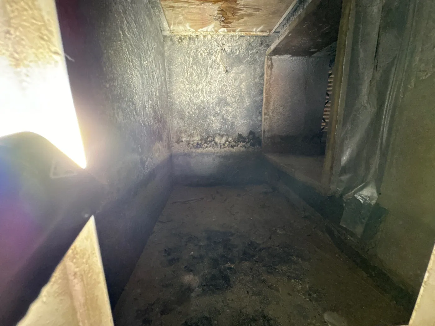 Contaminated air-handler plenum interior found during a Boca Raton, FL mold inspection