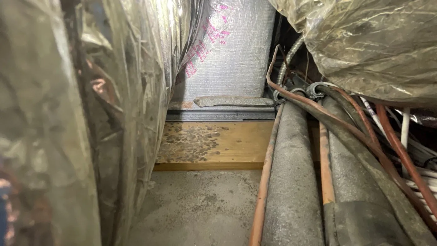 Mold growth at the base of an air handler during a Delray Beach, FL mold inspection