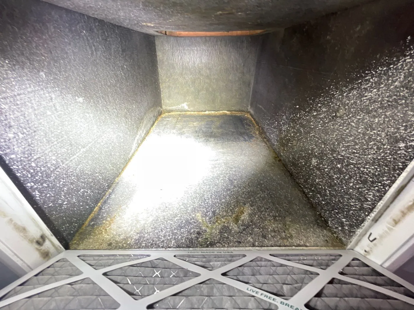 Dust and biological growth inside an HVAC return plenum during a Melbourne, FL mold inspection
