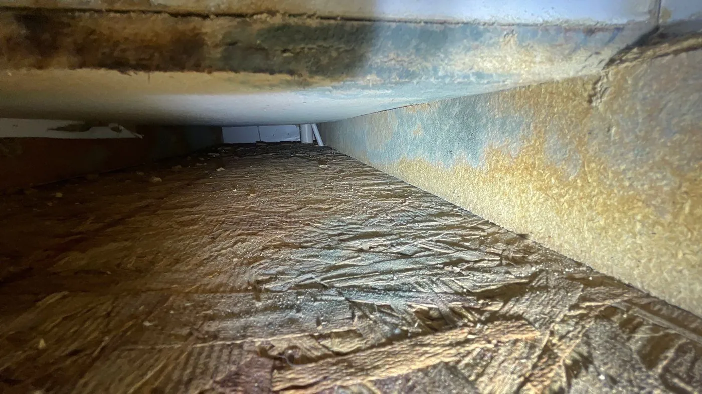 Water-stained subfloor in a concealed cavity during a Port St. Lucie, FL mold inspection