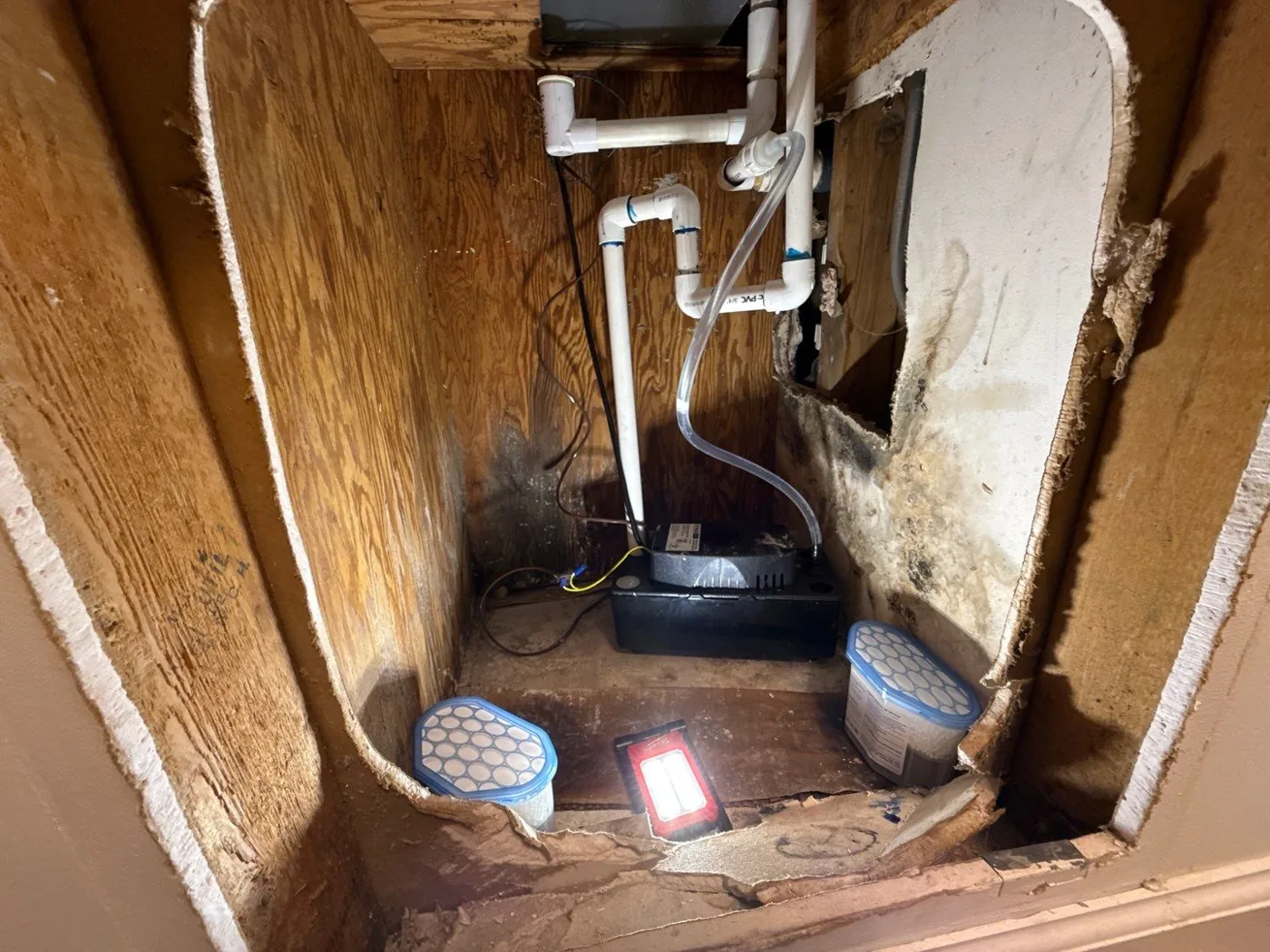 Air-sampling cassettes beside visible mold staining inside a cabinet during a Stuart, FL mold assessment