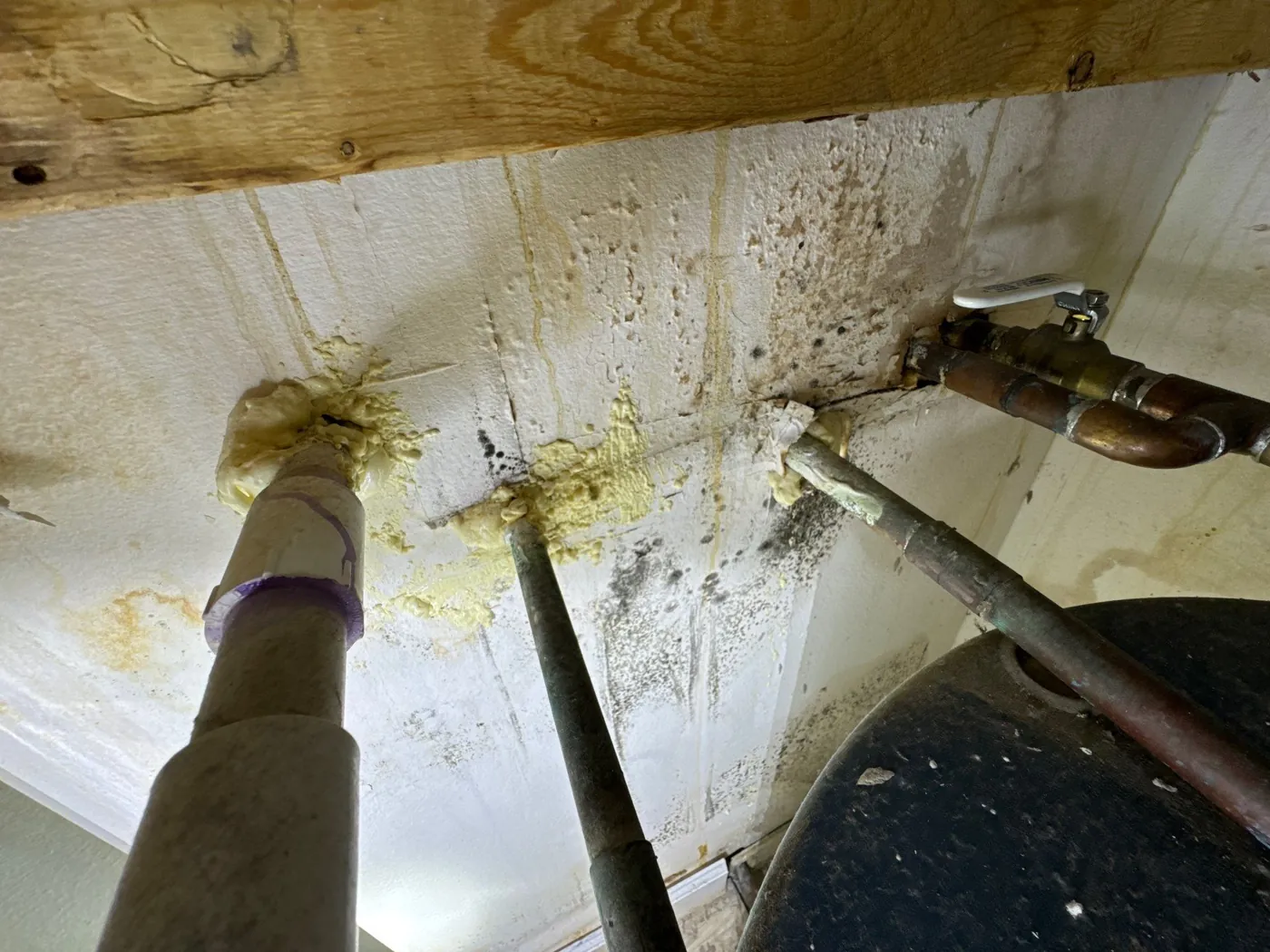 Mold growth on a cabinet back panel around plumbing lines during a Vero Beach, FL mold inspection