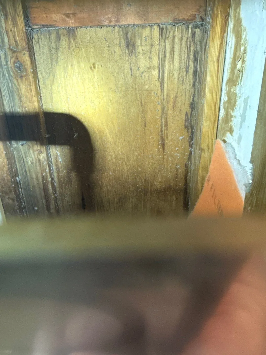 Moisture-damaged wood framing inside a wall cavity during a Wellington, FL mold inspection