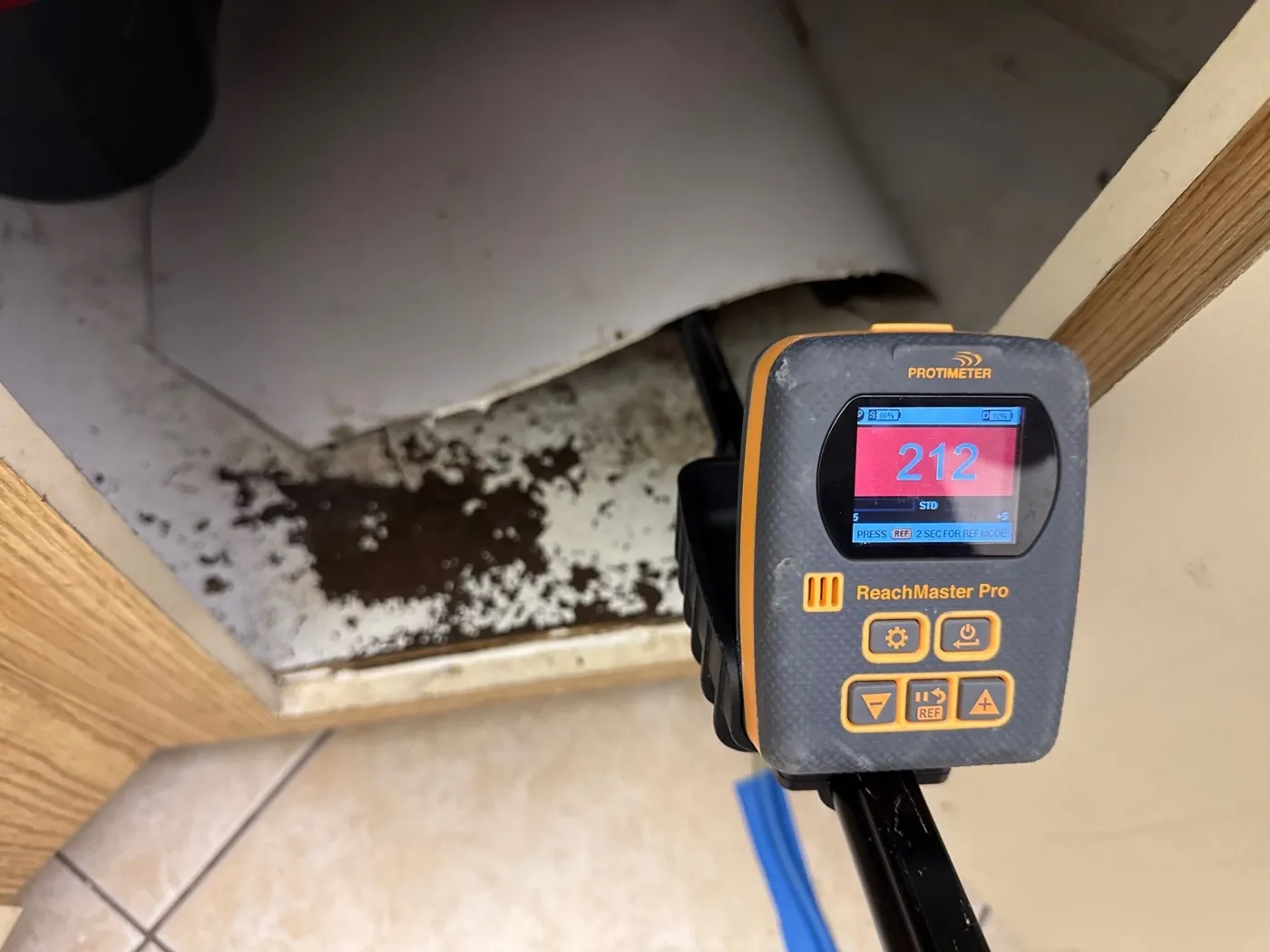 Protimeter moisture meter beside visible mold under a cabinet during a West Palm Beach, FL mold inspection
