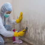 Home Mold Testing in West Palm Beach, Florida