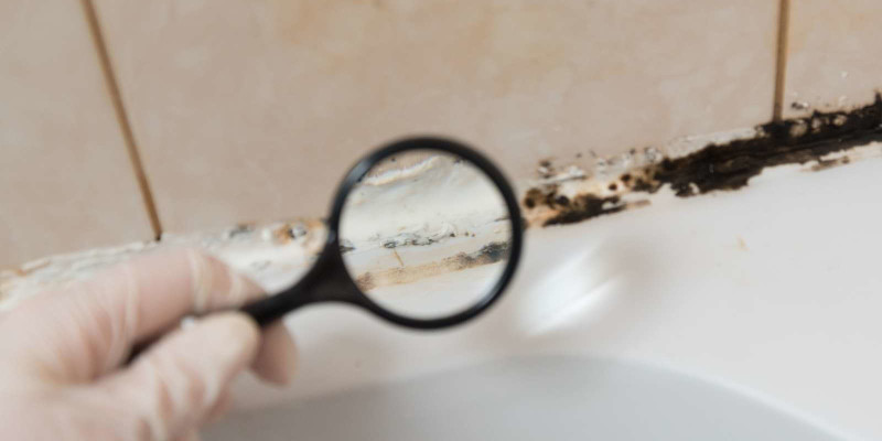 Home Mold Inspection in Stuart, Florida