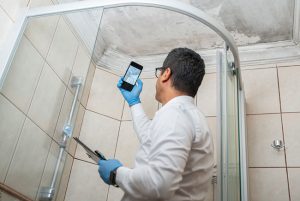 Tips for Preventing Mold Growth from a Mold Specialist