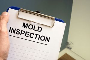 Is Post-Remediation Inspection Necessary?
