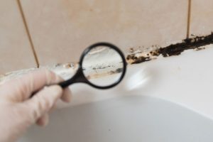 Why You Shouldn’t Do Your Own Mold Assessments