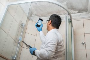 3 Reasons Why Home Mold Testing Is Important