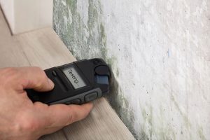 When Does Your Business Need a Commercial Mold Inspection?